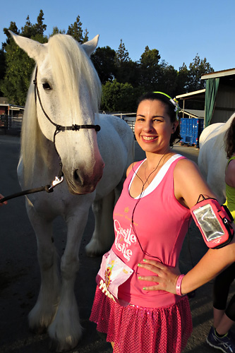 Meeting a Disneyland Horse at rundisney Tinker Bell Half Marathon