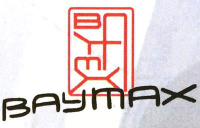 Baymax Autograph Card at Disney World