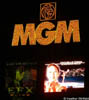 mgm_night
